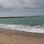 Les Campanules *