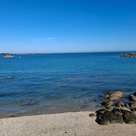 Les Campanules * Sainte-Genevieve (Manche)