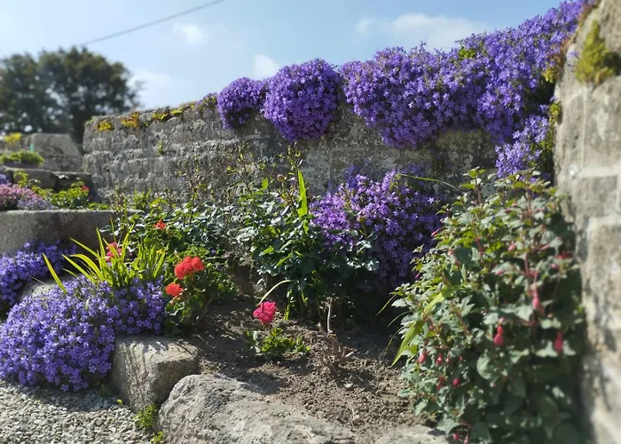 Hébergement de vacances Les Campanules *